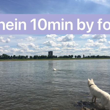 Igo Apartment 2 Schlafenzimmer Mit Waschmaschine Trockner Haustier Rheinufer 5Min Netflix Disney Plus 17-6 Дуйсбург Экстерьер фото